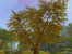 Bilder aus der Aion-Beta (5)