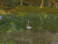 Bilder aus der Aion-Beta (12)