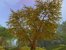 Grafikvergleich WoW versus Aion (49)