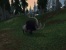 Grafikvergleich WoW versus Aion (42)