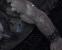 Batman: Arkham Asylum: Tops der Grafik (viel Liebe zum Detail bei Figuren - achten Sie auf die Blutspritzer und die Haare) (8)