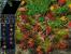 Die Siedler 3 09