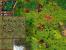 Die Siedler 4 04