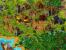 Die Siedler 4 16