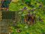 Die Siedler 4 22