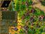 Die Siedler 4 23