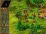 Die Siedler 4 25