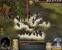 Die Siedler 5 02