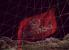 Dirt 2 DirectX 11 Tessellation 3