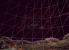 Dirt 2 DirectX 11 Tessellation 2