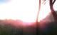 Far Cry 1, 3.360 x 2.100 resized to 1.280 x 800, Kein AA, 16:1 AF, maximale Details, HDR=7, Advanced Graphic MOD v1.0 (28)