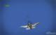 Heroes over Europe (17)