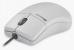 Microsofts All-Time-Klassiker Intelli Mouse.
