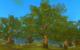 Runes of Magic Chapter II - The Elven Prophecy - Bildvergleich