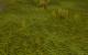 Runes of Magic Chapter II - The Elven Prophecy - Bildvergleich