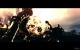 Resident Evil 5: Cineastische Cutscenes
