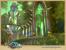 Screenshots aus Runes of Magic Chapter II - The Elven Prophecy (6)