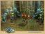 Screenshots aus Runes of Magic Chapter II - The Elven Prophecy (9)