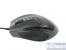 Speedlink Kudos Gaming-Maus (2)