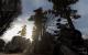 Stalker Complete Mod: Neue Screenshots (20.9.2009) (7)