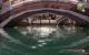 Venetica