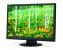 NEC AccuSync AS221WM