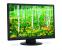 NEC AccuSync AS221WM