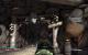 Borderlands (6)