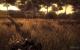 Operation Flashpoint 2 (4)