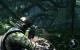 James Cameron's Avatar: Kurztest des Spiels zum Film (31)