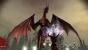Dragon Age Origins - Die besten Screenshots (13)
