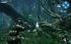 James Cameron's Avatar: Kurztest des Spiels zum Film (23)