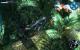 James Cameron's Avatar: Kurztest des Spiels zum Film (26)