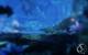 James Cameron's Avatar: Kurztest des Spiels zum Film (16)