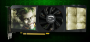 EVGA Geforce GTX 275 CO-OP PhysX Edition