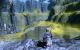 Dragon Age Origins (9)