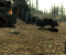Fallout 3 HD 4x SSAA, Auto-LOD