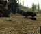 Fallout 3 HD 4x SSAA, LOD -1 manuell