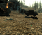 Fallout 3 HD 8x MSAA (LOD 0)