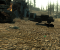 Fallout 3 HD 8x SSAA, Auto-LOD
