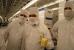 Globalfoundries: Dresdner Fab 1 lieferte 250.000 32-Nanometer-Wafer an AMD aus (13)