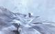 Call of Duty - Modern Warfare 2 (17)