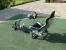 Rennwagen final 03