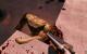 Serious Sam HD: Erster Hands-on-Test von PC Games Hardware (10)