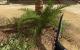 Serious Sam HD: Erster Hands-on-Test von PC Games Hardware (14)