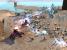 Extreme-Test mit einer Radeon HD 5870 mit vielen Einheiten und hohen Setting. Hier: Screenshots aus dem Spiel. (21)