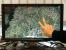 Windows-7-Multitouch auf dem Acer T230H: Microsoft Surface Globe (1)