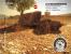 Ambient Occlusion (DX11)