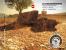 kein Ambient Occlusion (DX9)