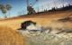 Colin McRae Dirt 2 (10)